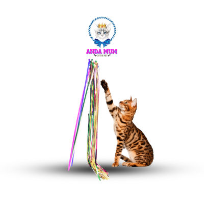 ANDAMUM ของเล่นเเมว ของเล่นแมวโต สัตว์เลี้ยง ของเล่นไม้ล่อแมว ไม้ล่อแมว ของเล่นสี ไม้เเมว ของเล่นล่อแมว สี สวยงาม