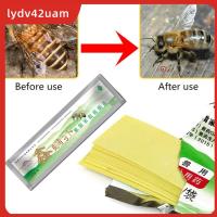 LYDV42UAM 20ชิ้น/แพ็คเครื่องมือเลี้ยงผึ้งควบคุม Varroa Acaricide Strip Bee Mite เครื่องมือจีบไฮฟ์