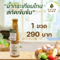 WATERHERB TONE GARLIC EXTRACT น้ำกระเทียมโทน ขิง มะนาว น้ำแอปเปิ้ลไซเดอร์ น้ำผึ้ง สกัดเข้มข้น 100% 1 ขวด