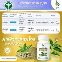 ฟ้าทะลายโจร อภัยภูเบศร 500 มก 60แคปซูล มีแอนโดรกราโฟไลท์ 10mg ของแท้ S0063