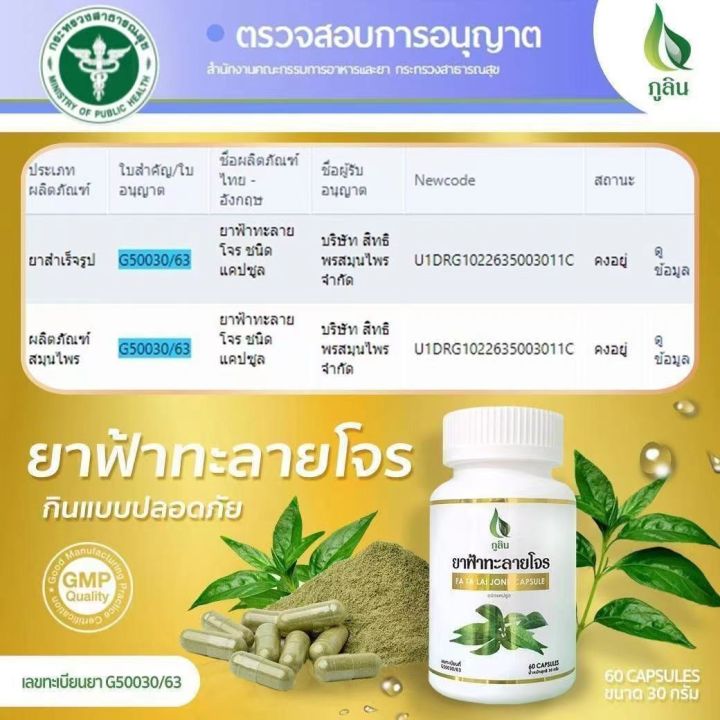 ฟ้าทะลายโจร-อภัยภูเบศร-500-มก-60แคปซูล-มีแอนโดรกราโฟไลท์-10mg-ของแท้-s0063