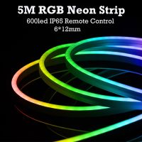 5M 600led RGB Led Neon Strip Lights IP65 DC12V Flexible Silicone Tape 6*12MM IR24Key Remote Control DIY Home Room DecorationLamp