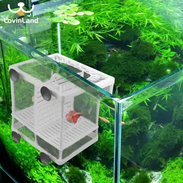 Aquarium Box ราคาถูก ซื้อออนไลน์ที่ - เม.ย. 2024