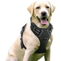 Pet Dog Chest Harness Vest Type Dog Explosion-proof Buckle Traction Rope Dog Supplies Chest Harness