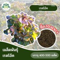 [10 แถม 1] ปันบุญออร์แกนิค เมล็ดพันธ์ุ ผักสลัด เมล็ดพันธ์ุ เรดโอ๊ค Red Oak 1 ซอง บรรจุ 400-500 เมล็ด งอกง่าย โตไว