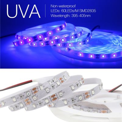 SumTang UV Led Strip 12V UVA Light 395-405nm SMD2835 60LEDs/m Ultraviolet Ray LED Diode Ribbon Purple Tape Lamp for Party Rechargeable Flashlights