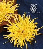 ชาดอกเก๊กฮวยจักรพรรดิ (imperial Chrysanthemum Tea) ราชาแห่งเก็กฮวย ดอกเบญจมาศ เพิ่มความสดชื่น กำจัดสารพิษออกจากร่างกาย ชาดอกไม้ Charmcha ฌามชา