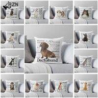 [FAZOZO Home Textile Store] Dachshund หมอนกำมะหยี่ปลอกหมอนสุนัขสั่งทำได้สำหรับห้องนั่งเล่นหมอนตกแต่งโซฟาการตกแต่งบ้านปลอกหมอน