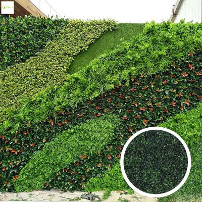 ภาพพืชติดผนังยูคาลิปตัสสีเขียวอุปกรณ์ประกอบฉากพื้นหลังสตูดิโอตกแต่งโต๊ะวางเค้กสำหรับตกแต่งพื้นหลัง