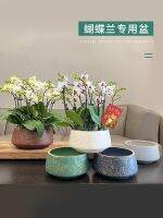 [COD] light luxury Phalaenopsis net red ceramic large diameter flower set