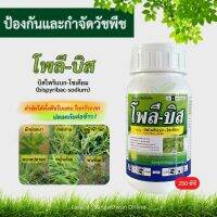 โพลีบิส 250ซีซี, บิสไพริแบก-โซเดียม10% สารกำจัดวัชพืชในนาข้าว วัชพืชใบแคบ หญ้าข้าวนก หญ้าแดง กกทราย หนวดปลาดุก ใช้หลังวัชพืชงอก