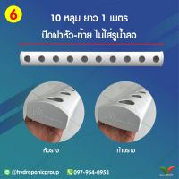 ราง 1 เมตร 10 หลุม ปิดหัวท้าย by hydroponicgroup