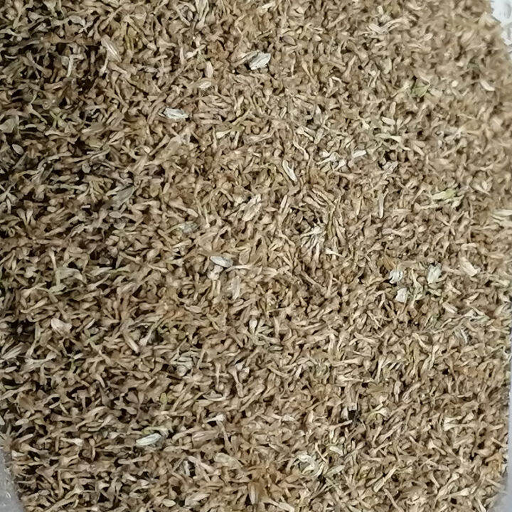 เมล็ดจิงจูฉ่าย 200++เมล็ด เมล็ดคัดเกรด ใช้ปลูกเพื่อเก็บใบรับประทาน