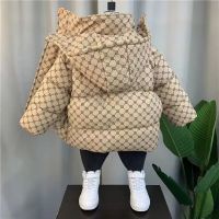 Childrens Down Cotton Coat 2023 New Fashionable Boys and Girls Baby Winter Wear Hooded Jacket Childrens Thickened Cotton Coat