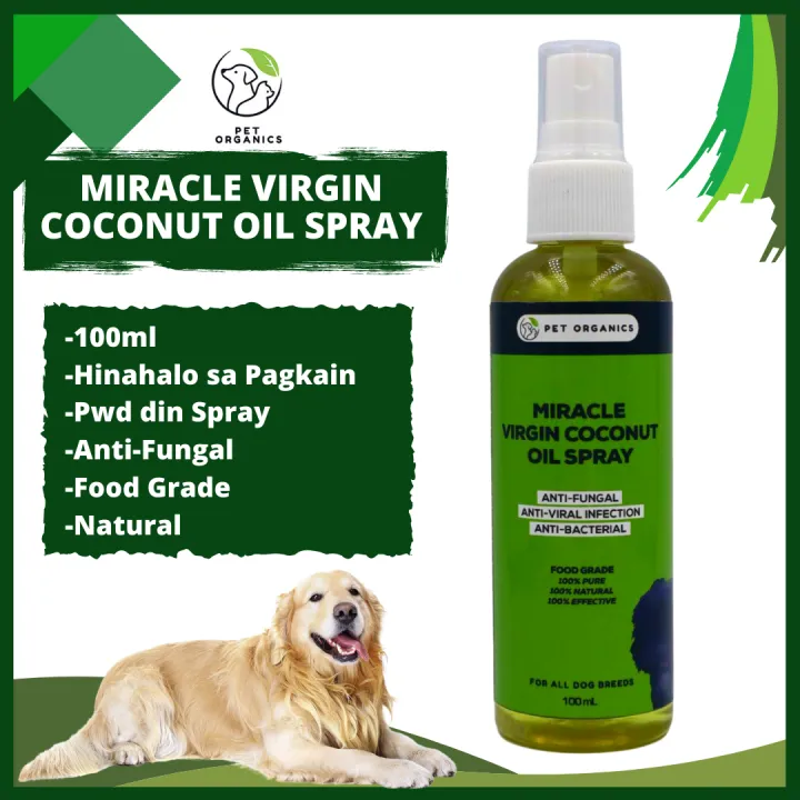 Is Coconut Oil Good For Yeast Infections In Dogs