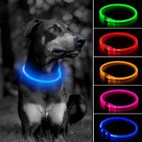 Pet Supplies Dog Collar Led Light Collar Dog Collar USB Rechargeable Pet Collar Outdoor Dog Walking Loss Prevention Collar