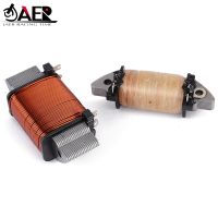 Motorcycle Magneto Generator Stator Coil For Kawasaki KDX220-A11 2004 KDX220-A12 2005 21003-1279 21003-1192