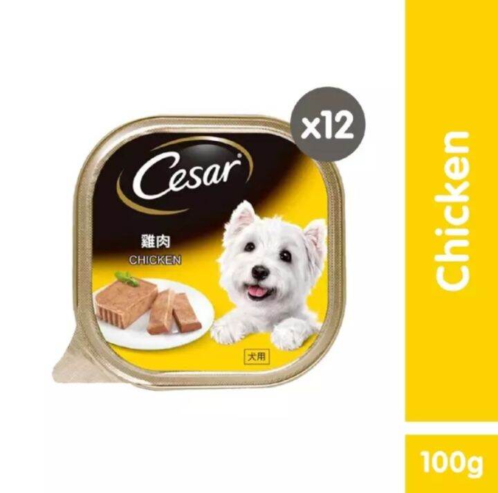 CESAR® Chicken Wet Dog Food Set of 12 (100g) Lazada PH