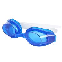 Goggles Anti-fog Swim Glasses Swimwear with Ear Plugs