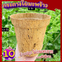 กระถางใยมะพร้าว 5 นิ้ว (10 ใบ)? กระถางต้นไม้ 5 นิ้ว กระถางเพาะชํา รากเดินดี  อุ้มน้ำ ระบายอากาศได้ดี  สามารถลงดินได้ทั้งกระถาง