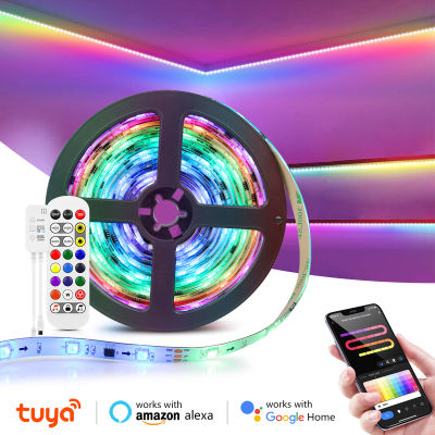 Tuya Smart Life + Bluetooth LED Strip 12V WiFi Music Control WS2811 Neon RGB LED Light Tape Home Decor Use Alexa Home