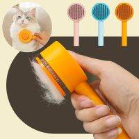 Cat Brush Stainless steel brush head pet hair removal brush Combs pet Massage Grooming Hair Remover Dog Brush cosas para gatos Brushes  Combs