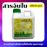 สารจับใบ ยาจับใบ สารจับใบเร่งการดูดซึมทางใบ สารเสริมประสิทธิภาพ ชนิดประจุลบ  ขนาด 1.0 ลิตร