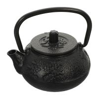 Teapot Tea Kettle Japanese Iron Set Cast Chinese Pot Tetsubin Mini Coffee Stove Waterloose Stovetop Vintage Maker Boilingsmall