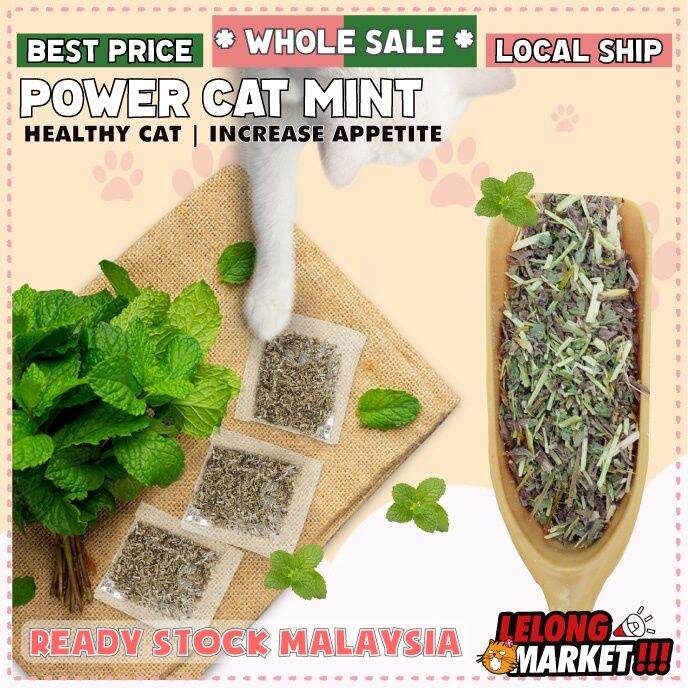 Premium Natural Pure Catmint Powder Pet Catwort Silvervine Kucing Organic Herb Catnip Cat Mint