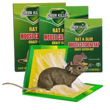 DAHAO MOUSE AND RAT GLUE TRAPS (GREEN) HOUSEHOLD SUPPLIES STRONG