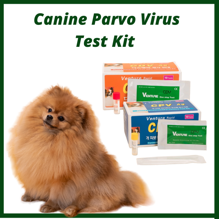 [Hash Clothing ph] Canine Parvo Test Kit Home Health Detection For