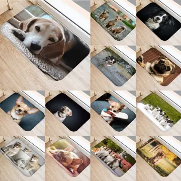 Pug Dog Front Rubber Door Mat Cute Animal Photo Floor Mats - China