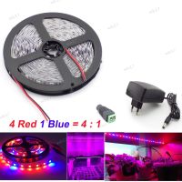 5M Waterproof Grow 5050 Led Strip plant grow Light 4 Red 1 Blue indoor growth lights Growing greenhouse Lamp 12V Power Supply 17TH