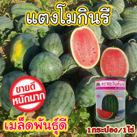 **พร้อมส่ง** เมล็ดพันธุ์แตงโม กินรี  ขนาด 40 กรัม 1กระป๋อง ปลูกได้ 1ไร่ ผิวสีเขียวเข้ม ผลยาวรี เนื้อแน่น แดงเข้ม หวานกรอบ เปลือกบาง