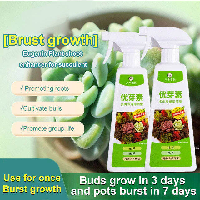 ganze011 [Brust Growth] Syringin plant bud enhancer for succulent