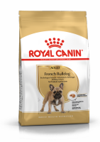 Royal petshop French Bulldog Adult สุนัขโตพันธุ์เฟรนช์บลูด็อก อายุ 12เดือนขึ้นไป ขนาด 3kg.