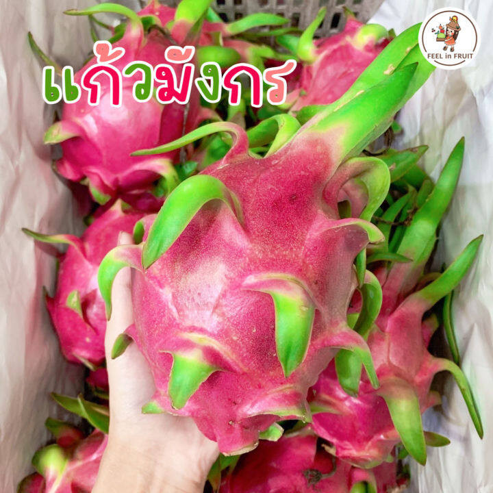 แก้วมังกรขาว-3-กิโล-หวานอร่อย-นุ่มละมุน