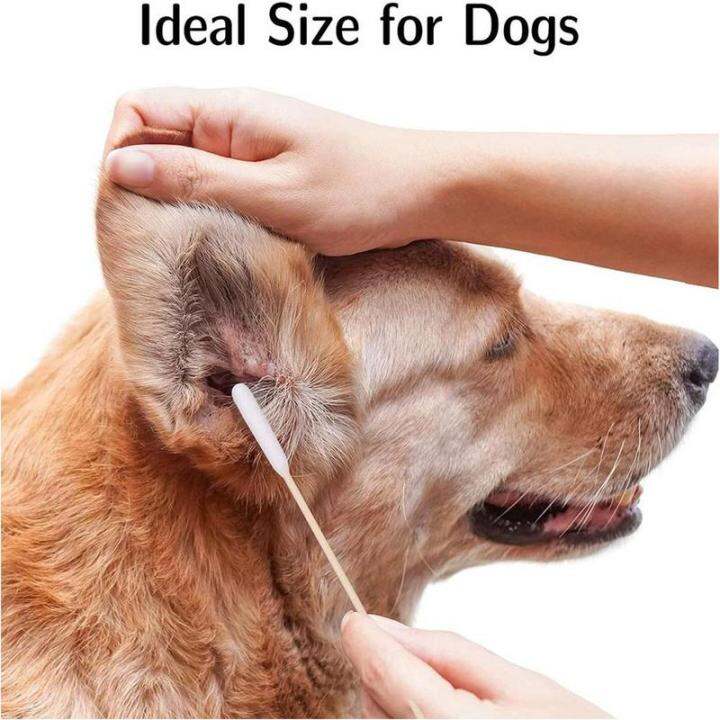 Pet ear cleaner cotton bud animal ear cleaner large cotton swab stick