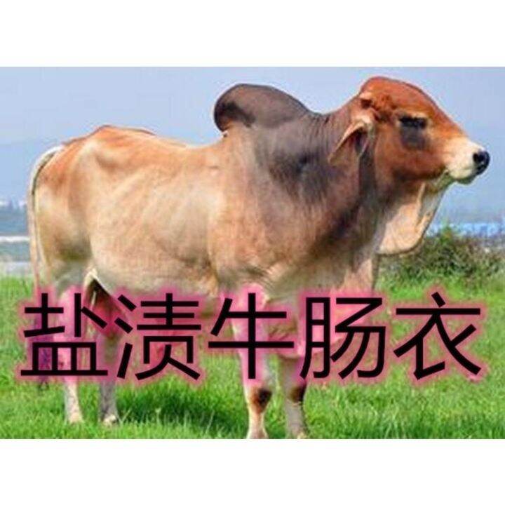 Halal beef casing saline without oil filling and halal sausage