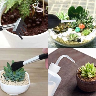 ；【‘； Succulent Plants Tool Set For Indoor Plant Home Garden Kit Black Potting Cactus Houseplant Cultivation Tools Gardenning Kits