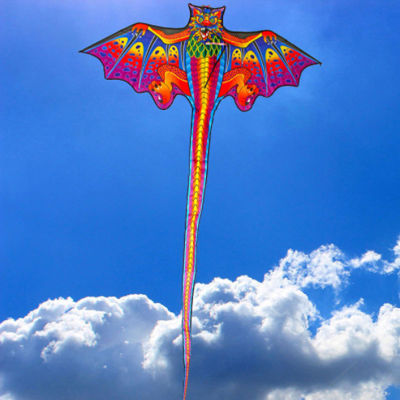 [Pinellia flowers] Cartoon 3d dragon Flying Kites For Children Adult Outdoor Fun Sports Kites