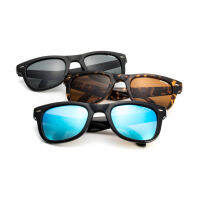 ENVISZO ES4991F Transformation Series TR09 Voyager รุ่นพับได้ Polarized ทรง Wayfarer ขนาด 50mm