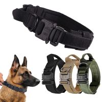 【YF】 Dog Collar Leash Harnesses Durable Adjustable Training Walking Accessories Medium Large dogs