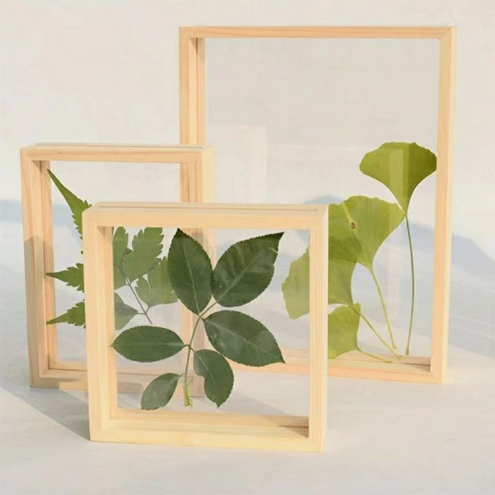 ลายไม้สร้างสรรค์-tablehuilinshen-กรอบตัวอย่างพืชสองกระจกด้านข้างสีล้วนกรอบรูปใสกรอบรูปไม้กรอบรูป