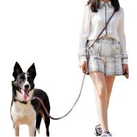Dog Leash Hands Free Leashes for Dog Walking Reflective adjustable Dogs Leash Explosion-proof Dogs Leashes Chain Pet Supplies Collars
