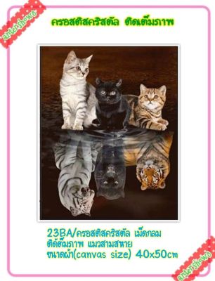DIY Diamonds painting ครอสติช ครอสติส คริสตัล ภาพวาด ติดเพชร เม็ดกลม ติดเต็มภาพ สัตว์ แมว มีของในไทย จัดส่งเร็ว มีเก็บเงินปลายทาง