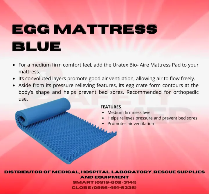 EGG FOAM MATTRESS BLUE Lazada PH
