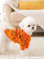 [COD] Sweater Small Dog Pomeranian Yorkshire Bichon