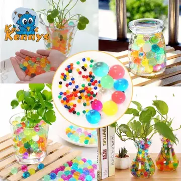 Jelly For Vase - Best Price in Singapore - Jan 2024