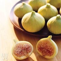 Figs ต้นมะเดื่อฝรั่ง พันธุ์ Alma (อัลม่า) อร่อย หวาน หอมมากๆ ต้นสมบูรณ์มาก รากแน่นๆ จัดส่งพร้อมกระถาง 6 นิ้ว ลำต้นสูง 45-50 ซม ต้นไม้แข็งแรงทุกต้น เรารับประกันจัดส่งห่ออย่างดี จัดส่งสินค้าตามรูป